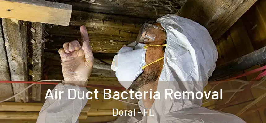 Air Duct Bacteria Removal Doral - FL