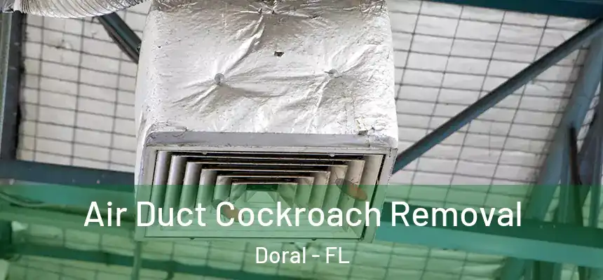 Air Duct Cockroach Removal Doral - FL