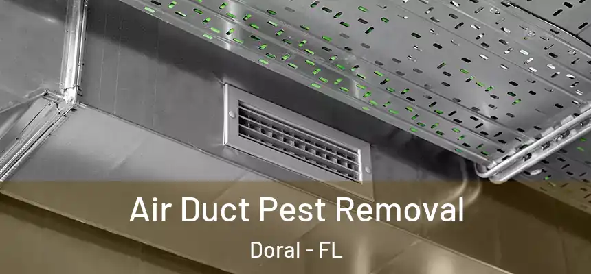  Air Duct Pest Removal Doral - FL