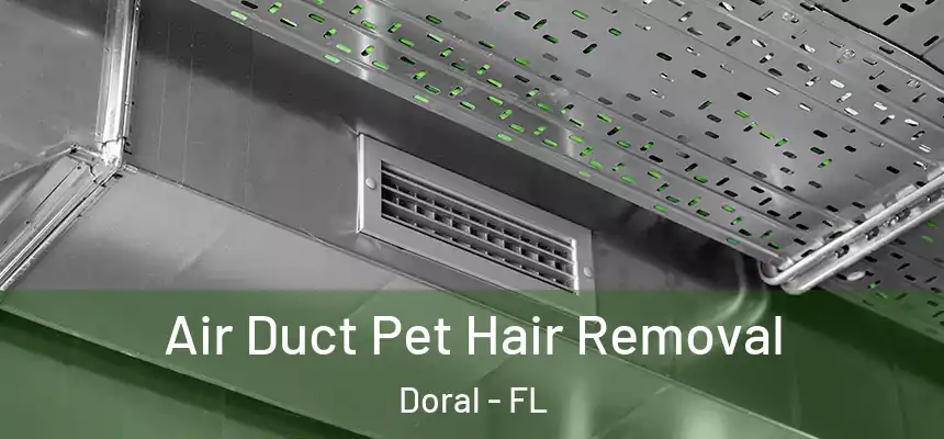 Air Duct Pet Hair Removal Doral - FL