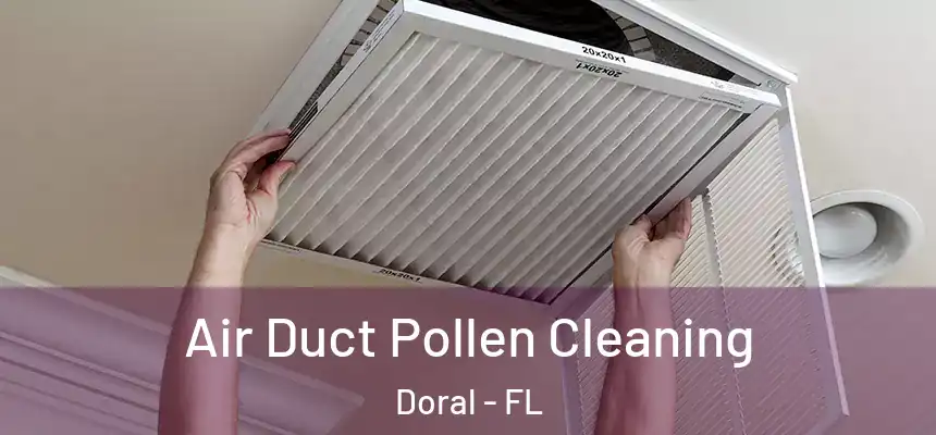  Air Duct Pollen Cleaning Doral - FL