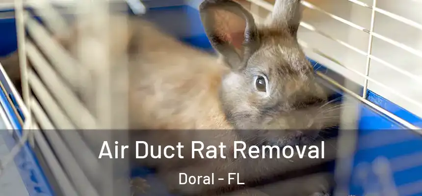  Air Duct Rat Removal Doral - FL