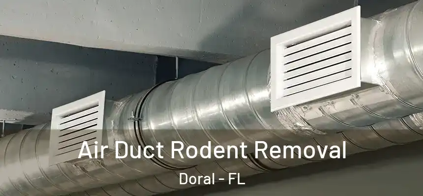  Air Duct Rodent Removal Doral - FL