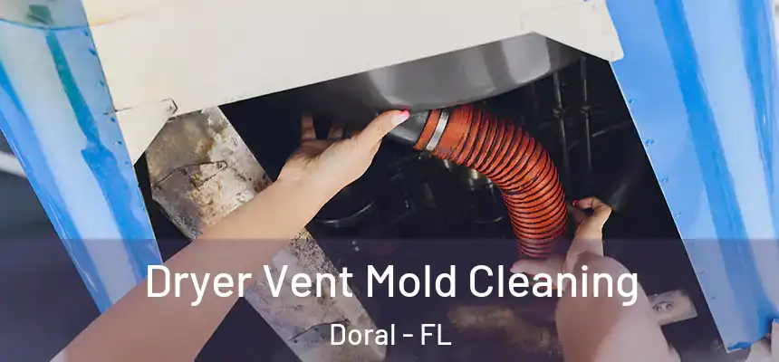  Dryer Vent Mold Cleaning Doral - FL