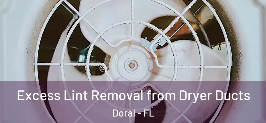  Excess Lint Removal from Dryer Ducts Doral - FL