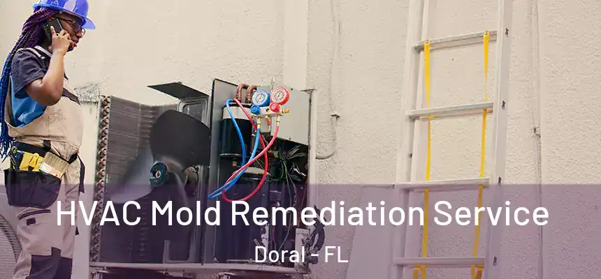  HVAC Mold Remediation Service Doral - FL