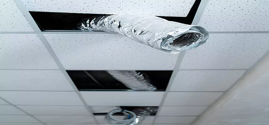 Our Air Duct Pet Hair Removal Services in Doral, FL