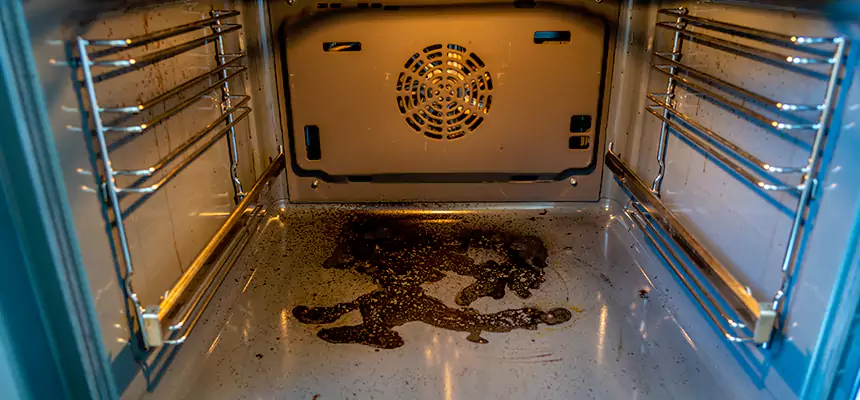 Our Dryer Vent Mold Cleaning Services in Doral, FL