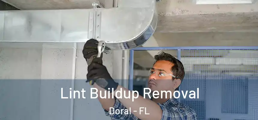  Lint Buildup Removal Doral - FL