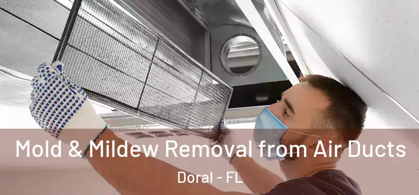  Mold & Mildew Removal from Air Ducts Doral - FL