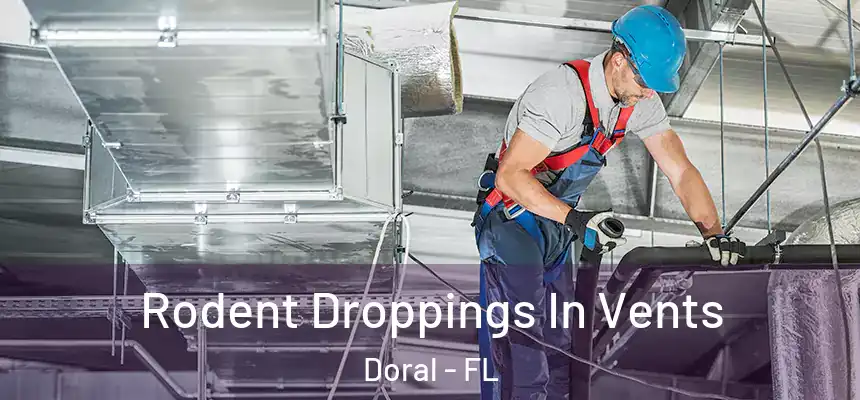  Rodent Droppings In Vents Doral - FL