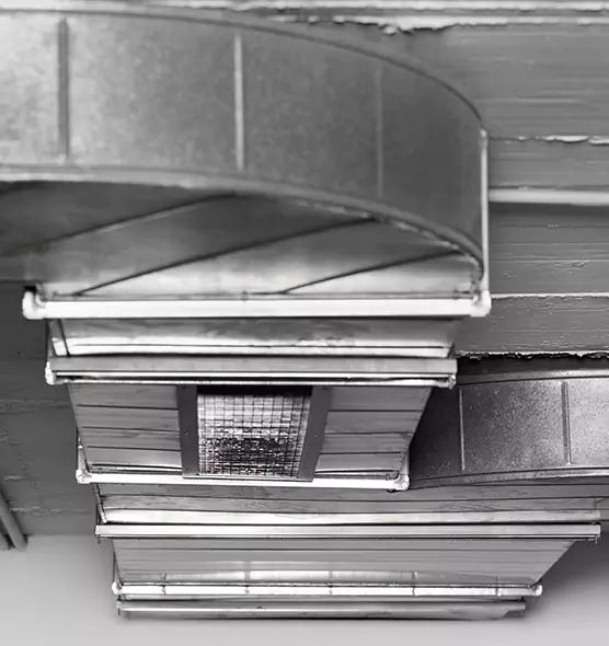 Professional Air Duct Pet Hair Removal in Doral, FL