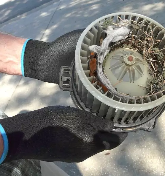 About Air Duct Rat Removal in Doral, FL