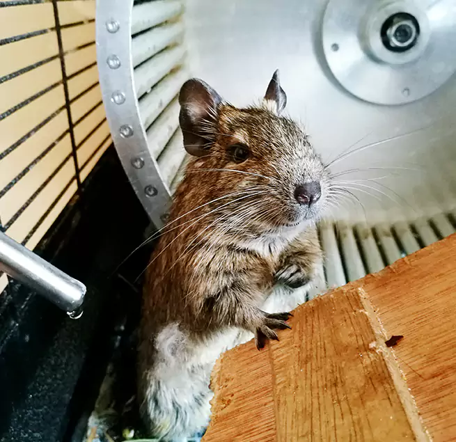 Why Homeowners & Businesses Trust Us Doral, FL