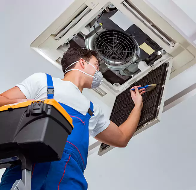 Why Homeowners & Businesses Trust Us in Doral, FL