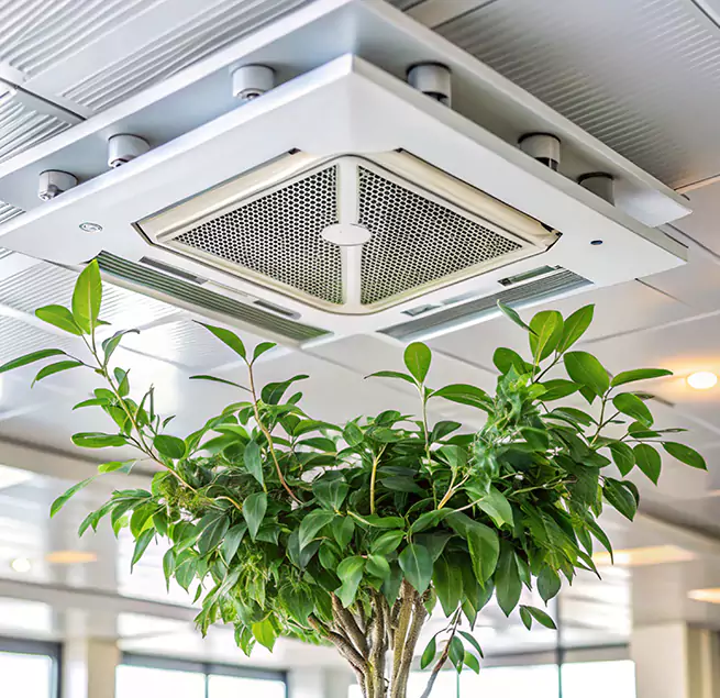 Why Homeowners & Businesses Trust Us in Doral, FL?