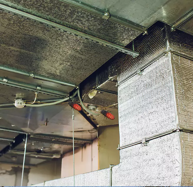 Why Homeowners & Businesses Trust Us Doral, FL?