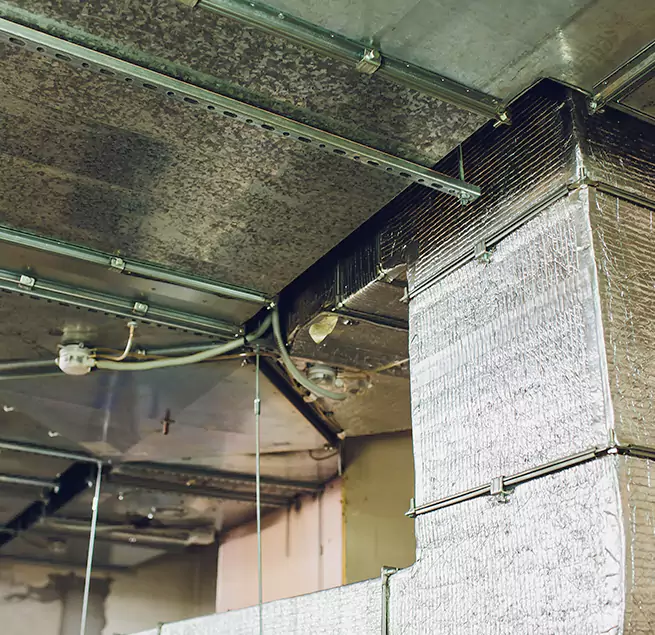 Why Homeowners & Businesses Trust Us in Doral, FL?